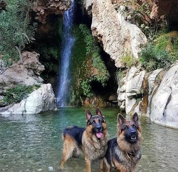 ペンション Casa De Jasper