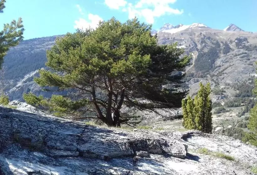 ペンション Chalet Le Bois Joli