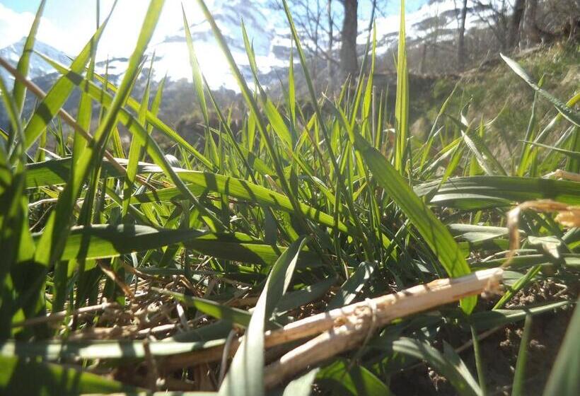 بنسيون Chalet Le Bois Joli