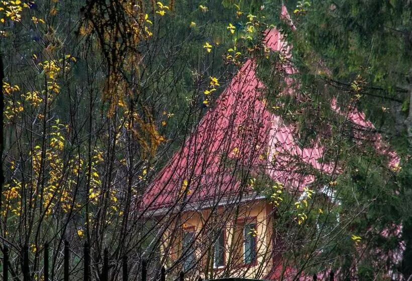 پانسیون Clermont Sinaia