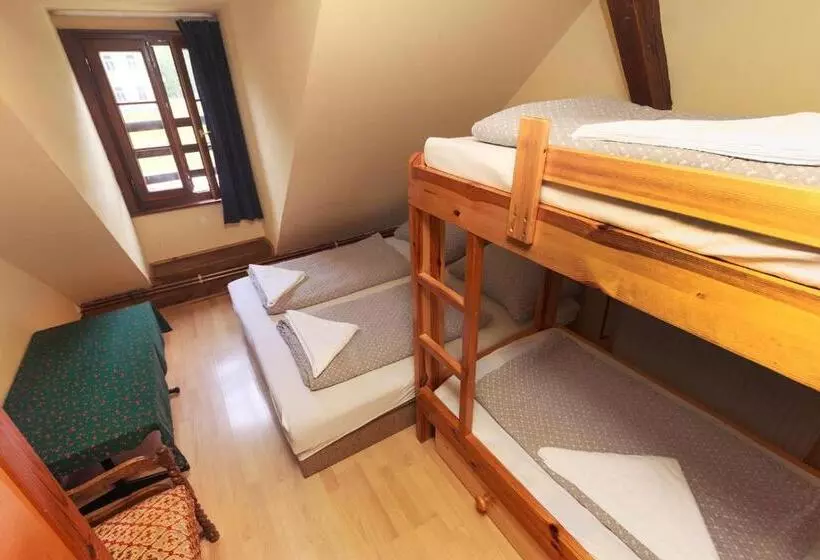 ユースホステル Penzion Black Sheeps Adventures