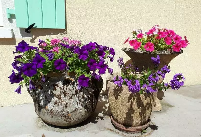 Aamiaismajoitus (B&B) Chez Pascale Et Patrick