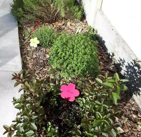 Aamiaismajoitus (B&B) Chez Pascale Et Patrick