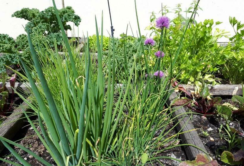 住宿加早餐 Chez Pascale Et Patrick