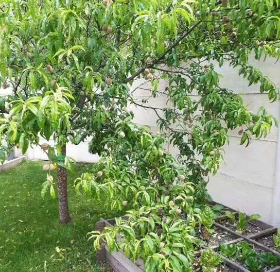 Aamiaismajoitus (B&B) Chez Pascale Et Patrick