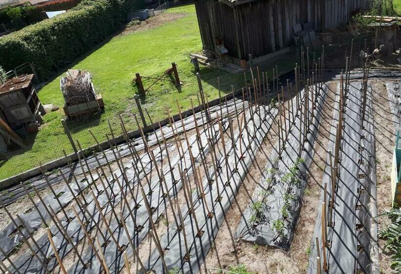 住宿加早餐 Chez Pascale Et Patrick