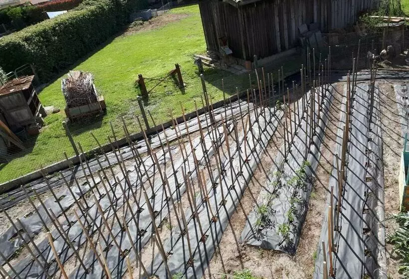 Aamiaismajoitus (B&B) Chez Pascale Et Patrick