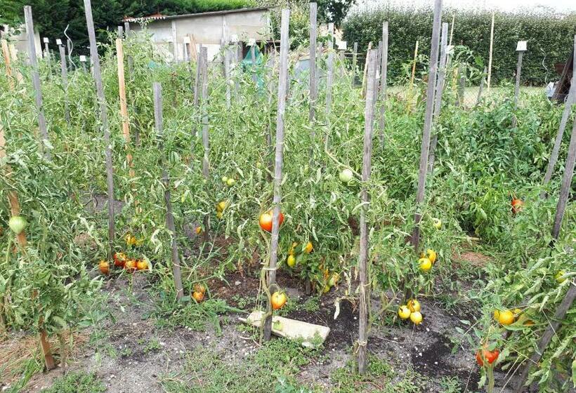 住宿加早餐 Chez Pascale Et Patrick