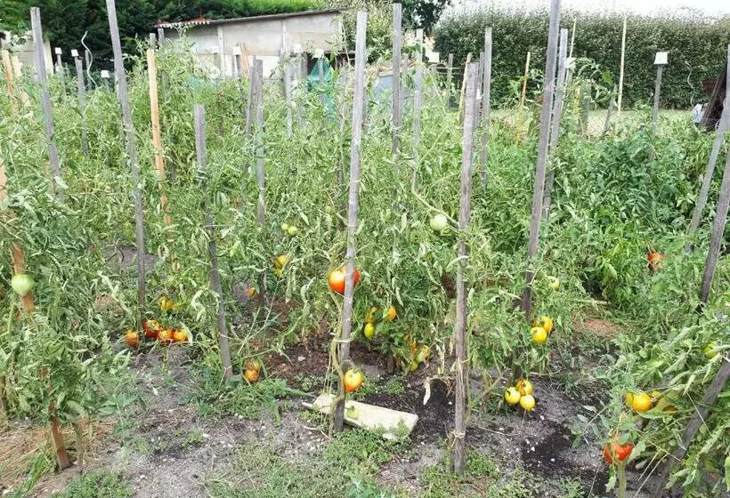 Aamiaismajoitus (B&B) Chez Pascale Et Patrick