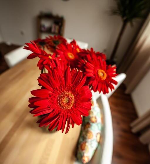 مبيت وإفطار City Break Amsterdam Bnb