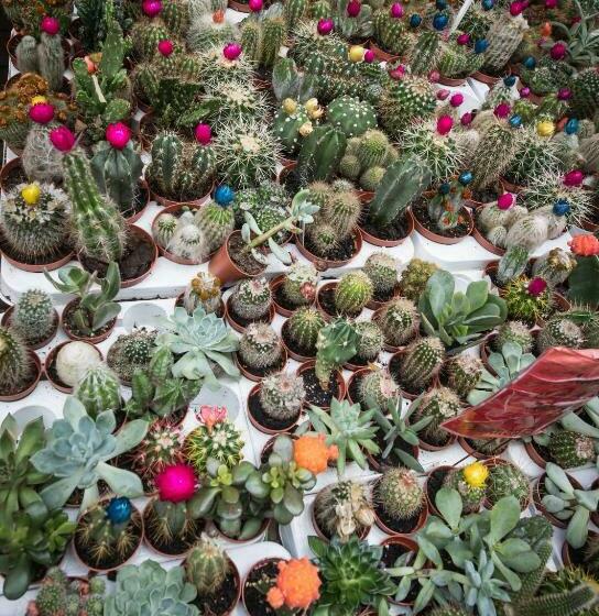 مبيت وإفطار City Break Amsterdam Bnb