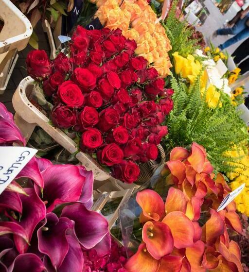 مبيت وإفطار City Break Amsterdam Bnb