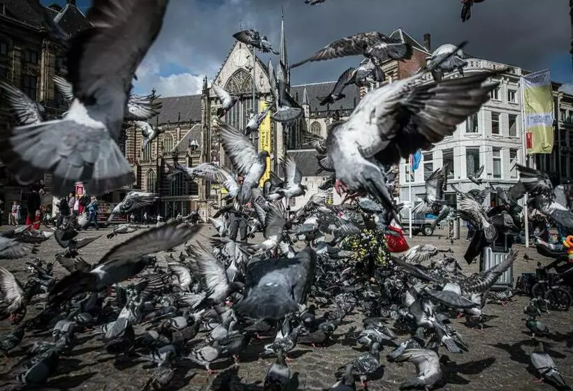 تختخواب و صبحانه City Break Amsterdam Bnb