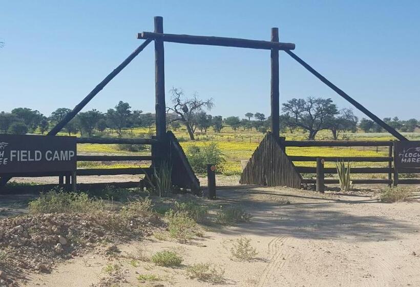 בית מלון כפרי Loch Maree Guest Farm & Field Camp