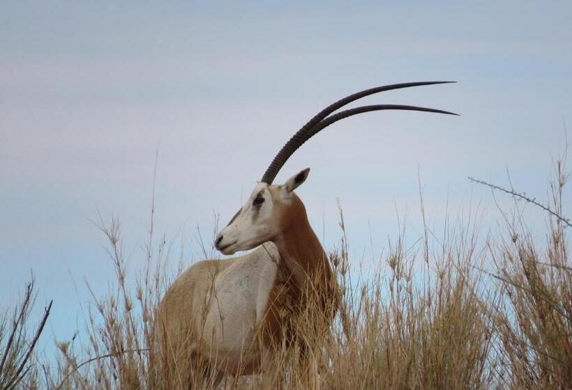 בית מלון כפרי Loch Maree Guest Farm & Field Camp
