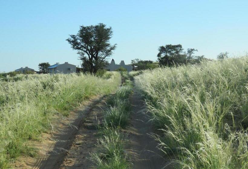 בית מלון כפרי Loch Maree Guest Farm & Field Camp