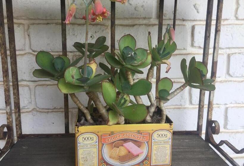 酒店 Watermill Studios