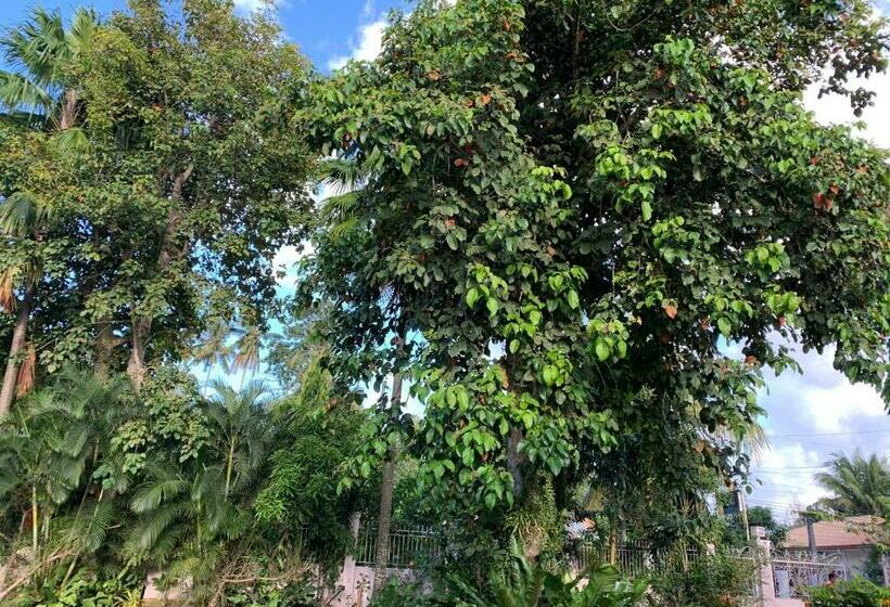 بنسيون Powers Holiday Vacations