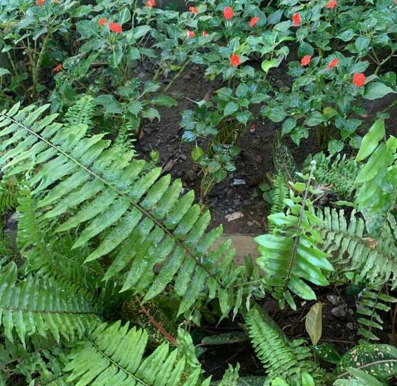 بنسيون Powers Holiday Vacations