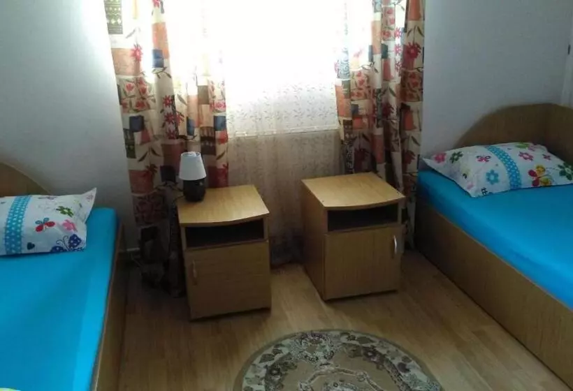 Pensiunea Sena Focsani
