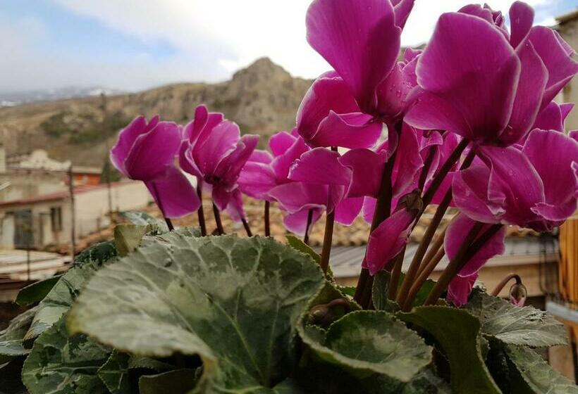 住宿加早餐 Il Vicoletto