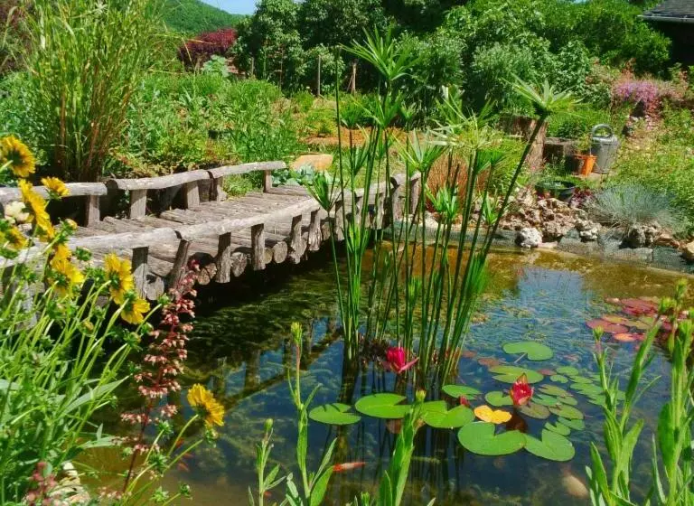 Aamiaismajoitus (B&B) Le Tilleul à Fleurs