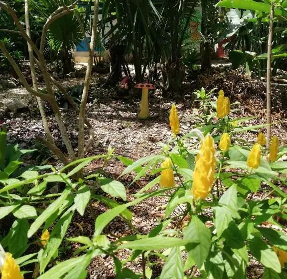 Aamiaismajoitus (B&B) Mayan Bungalow Near Chichén