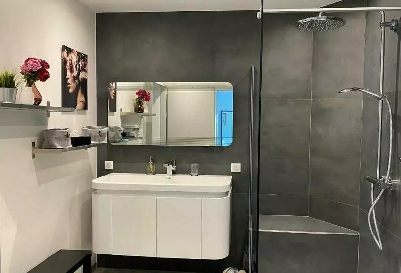 Les Rives Des Habsbourg