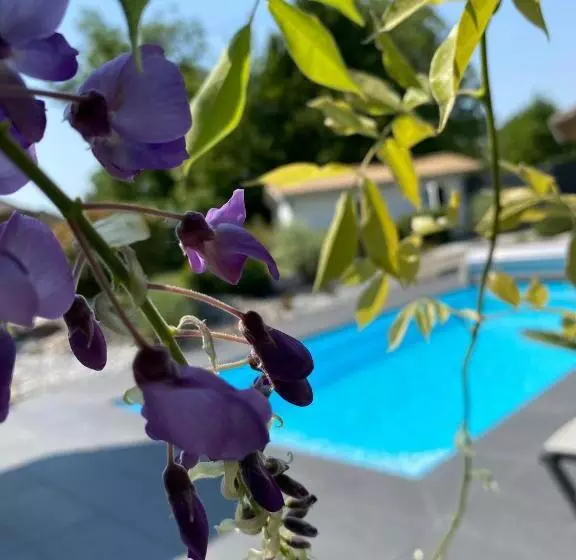 Les Rives Des Habsbourg