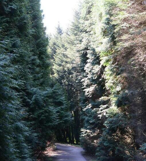 ペンション Gerecse Vendégház