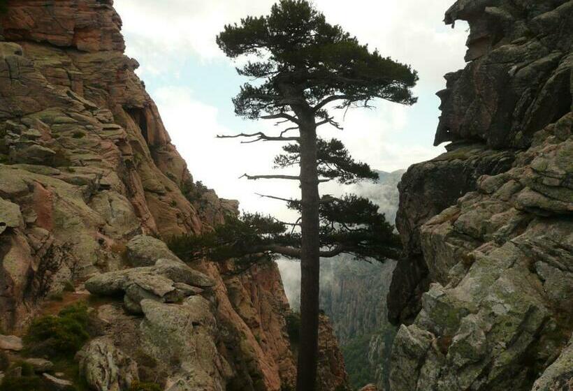 بنسيون Villa Chez Marie Meuble Tourisme 3 Etoiles