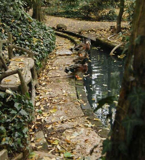 Bed and Breakfast Alle Fronde