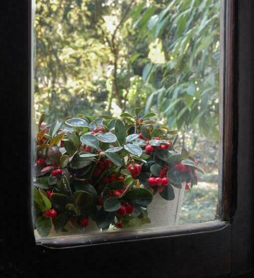 Bed and Breakfast Alle Fronde