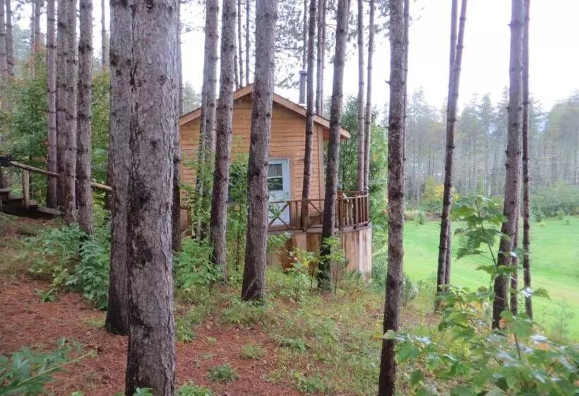Aamiaismajoitus (B&B) La Maison Sous Les Arbres