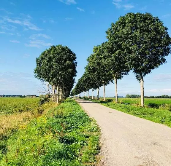 Aamiaismajoitus (B&B) Slapen Bij De Zeeuwse Lala