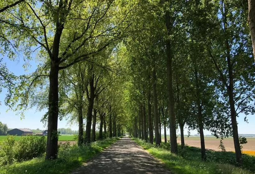 Aamiaismajoitus (B&B) Slapen Bij De Zeeuwse Lala