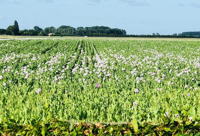 住宿加早餐 Slapen Bij De Zeeuwse Lala