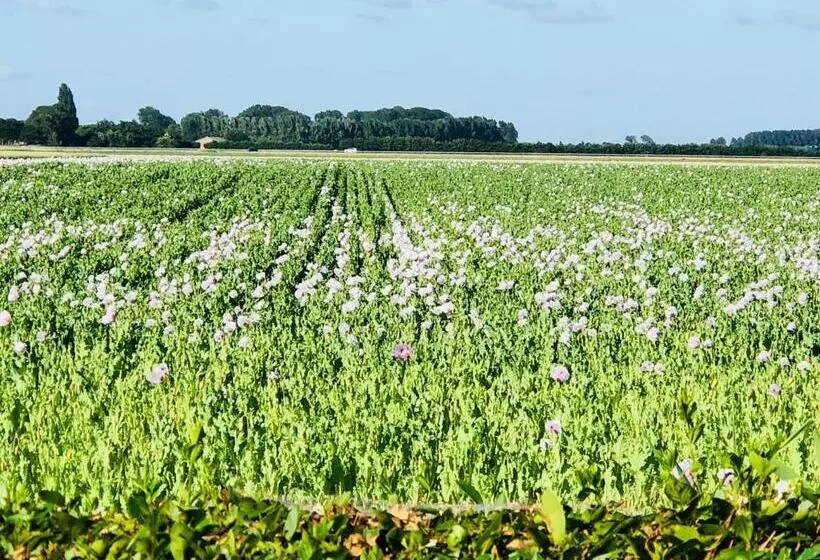 Aamiaismajoitus (B&B) Slapen Bij De Zeeuwse Lala