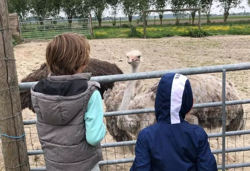 Aamiaismajoitus (B&B) Slapen Bij De Zeeuwse Lala