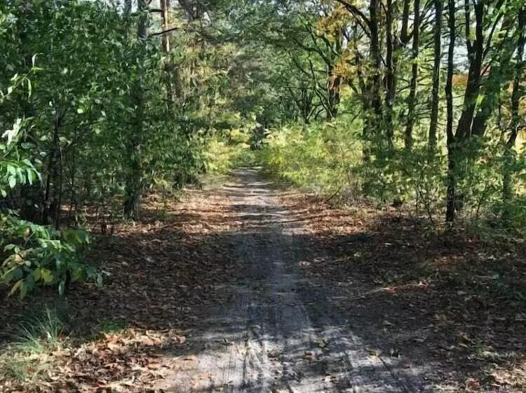 Aamiaismajoitus (B&B) Vijverhoef