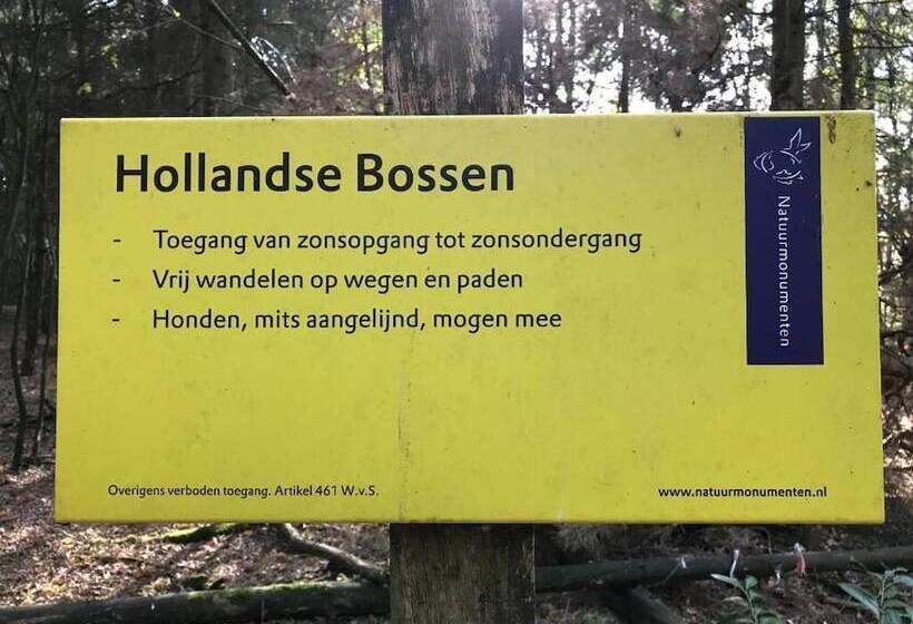 ベッドアンドブレックファースト Vijverhoef