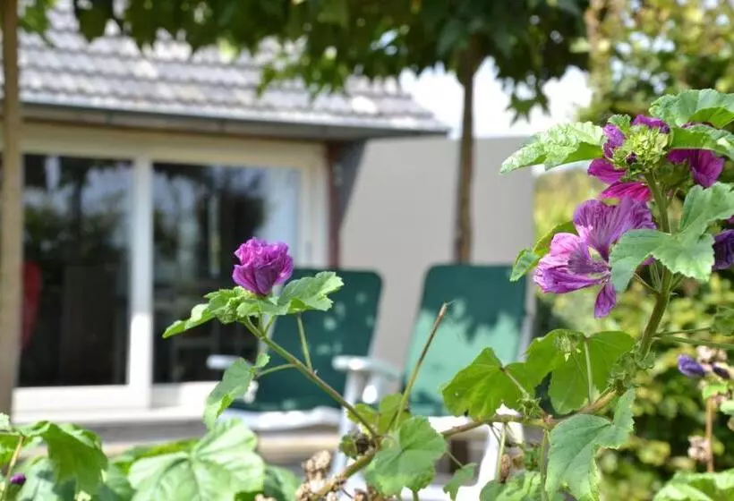 Aamiaismajoitus (B&B) Vijverhoef