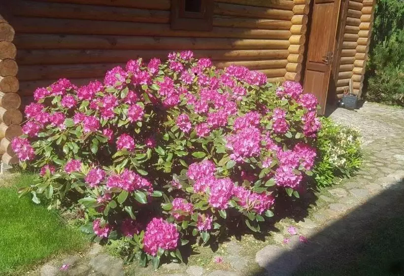 پانسیون Sveciu Namelis