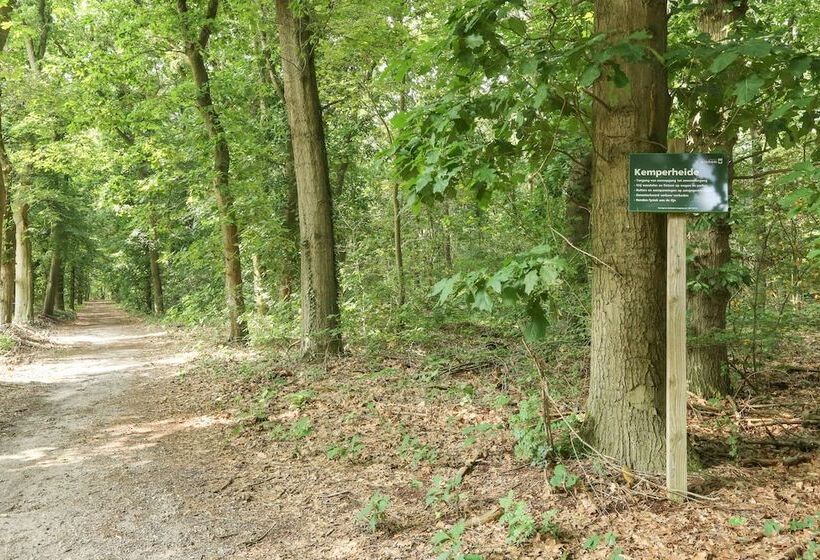 住宿加早餐  Adelaerthoeve Logies & Ontbijt