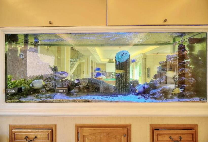 مبيت وإفطار Havre De Paix 5 étoiles Prestige Jacuzzi, Hammam, Sauna, Piscine Chauffée Mougins Cannes Grasse