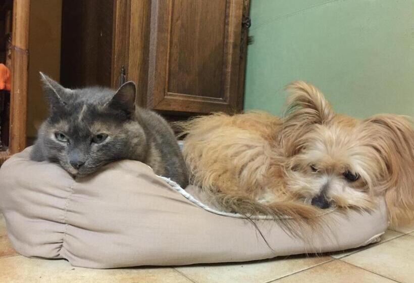 Bed and Breakfast Chambre D Hôte  Le Ponant