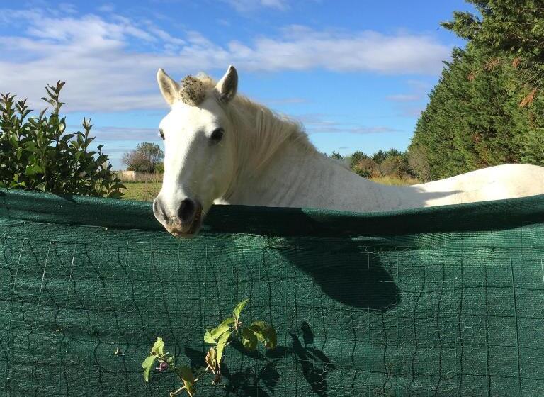 Bed and Breakfast Chambre D Hôte  Le Ponant