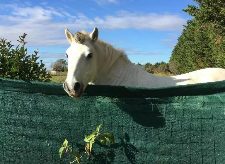 Aamiaismajoitus (B&B) Chambre D Hôte  Le Ponant