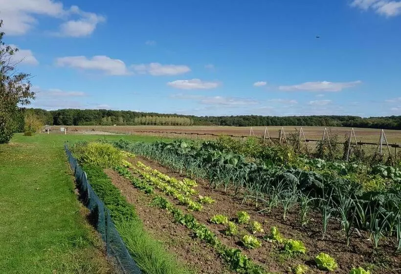 Aamiaismajoitus (B&B) Chambres Des Rosiers