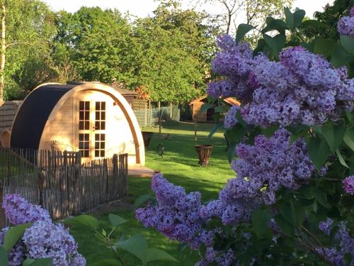 ベッドアンドブレックファースト Het Koningshofje